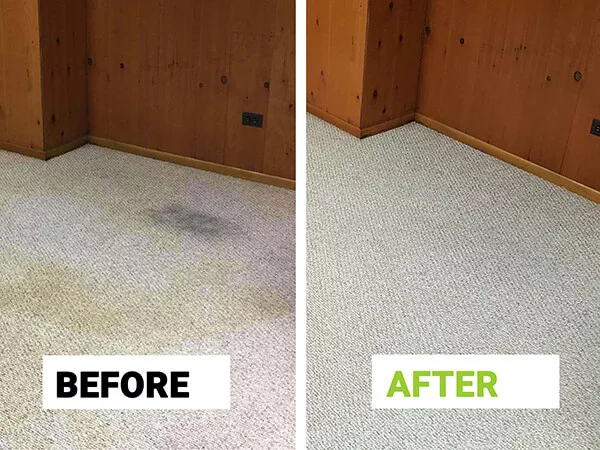 Before and after carpet cleaning result in a Chicago living space