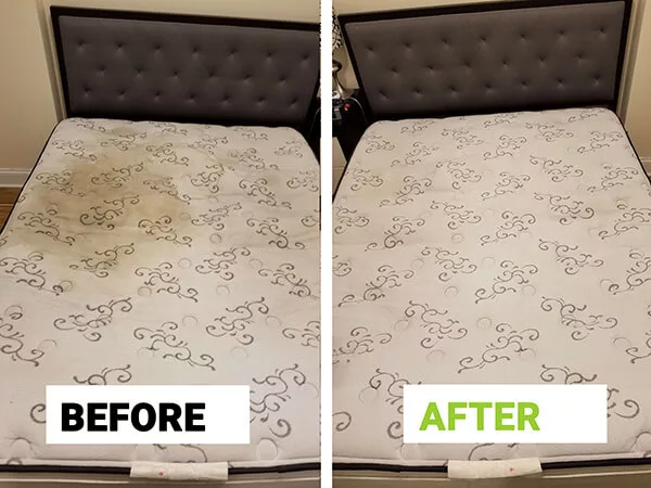 Before and after mattress cleaning result in Chicago
